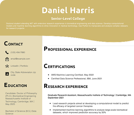 Full Stack Developer resume example