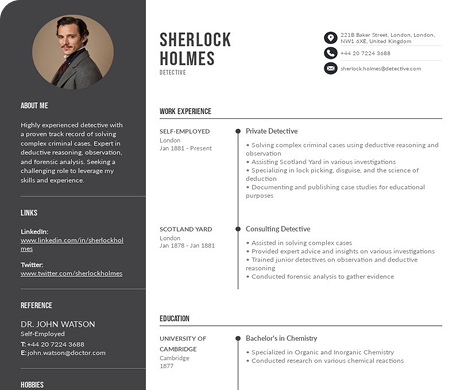 15 years experience resume example